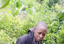 IBANDA: Boda Boda Rider Netted with a Gun